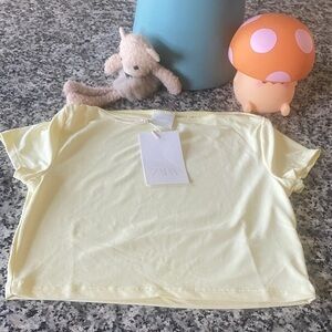 NWT ZARA cropped t-Shirt
